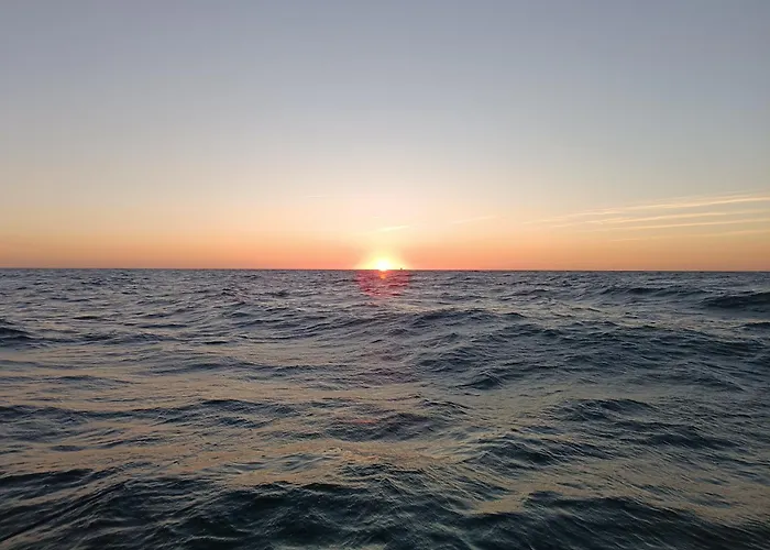 Domaine D'erras - La Bergeronnette Queyrac