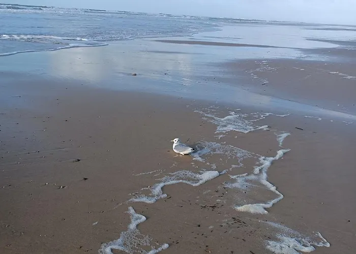 Domaine D'erras - La Bergeronnette Alpstuga