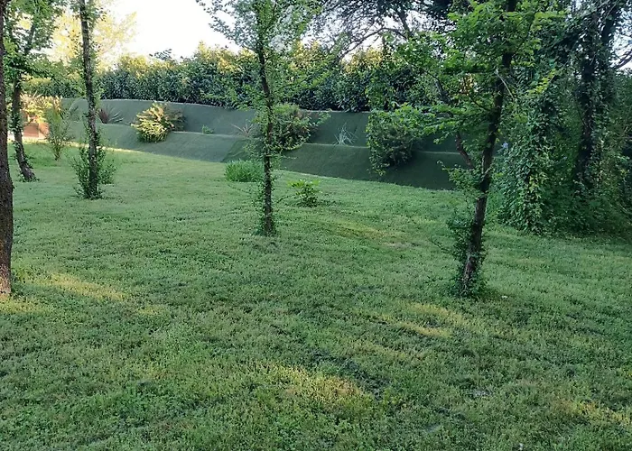 Domaine D'erras - La Bergeronnette